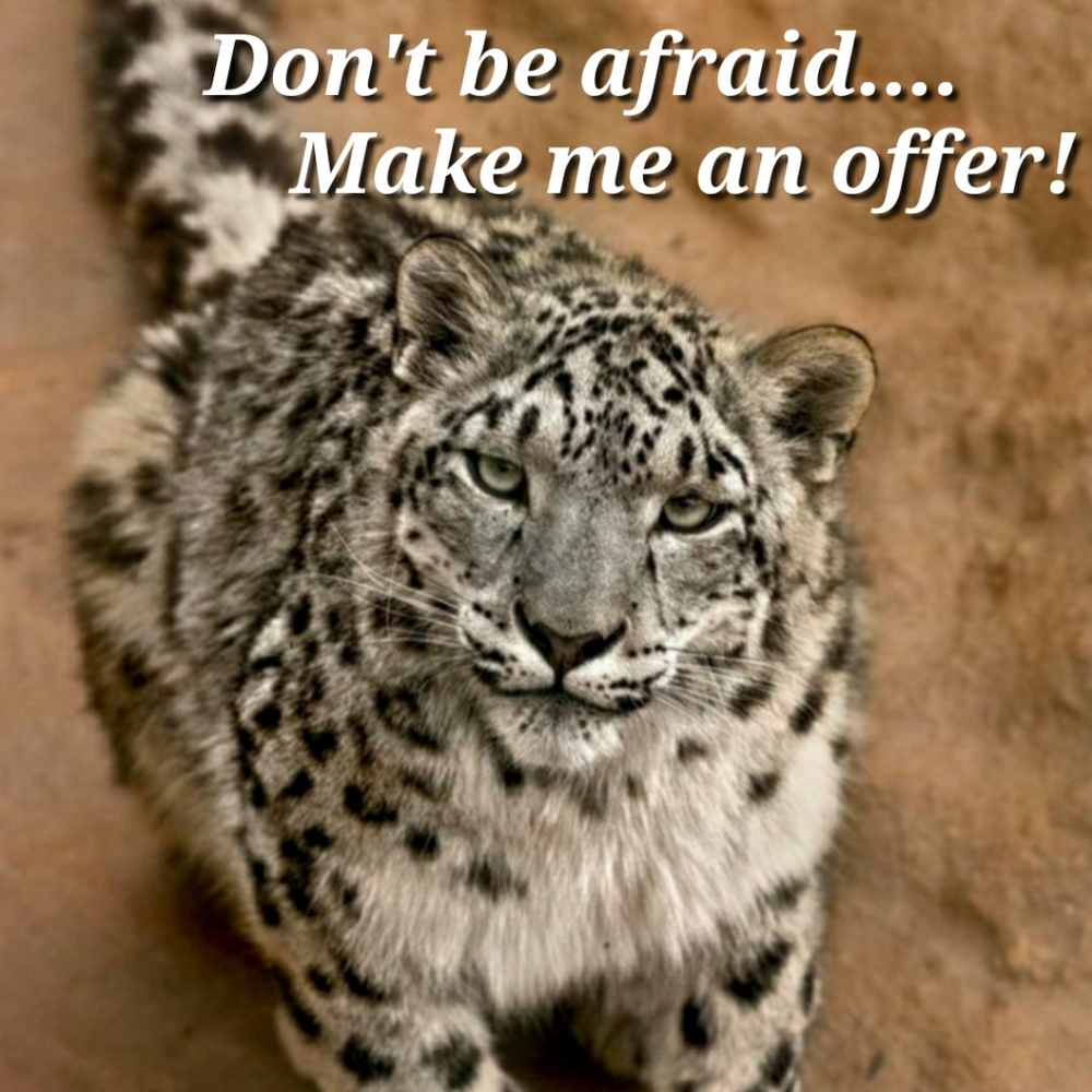 Make me an offer